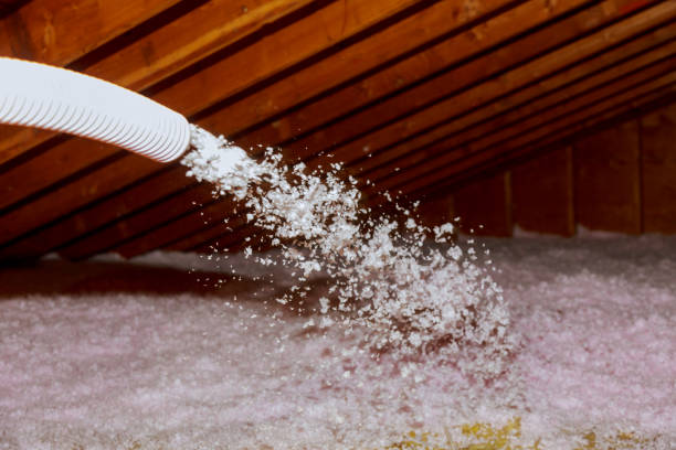 Best Blown-in Insulation  in Georgetown, TX