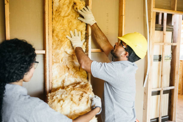 Best Best Insulation Companies  in Georgetown, TX