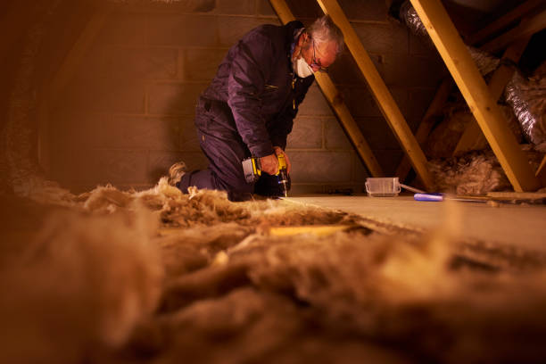 Best Crawl Space Insulation  in Georgetown, TX